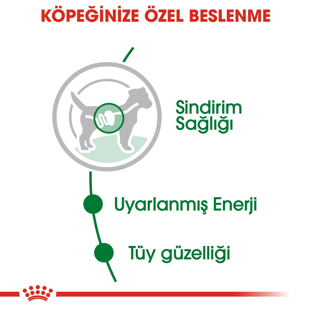 Mini Adult Gravy Yetişkin Köpek Yaş Maması