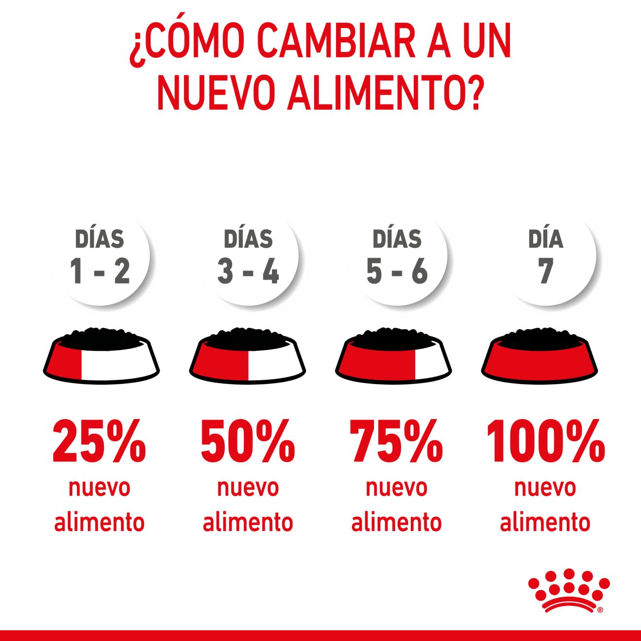 PUPPY - MINI - Trocitos en salsa