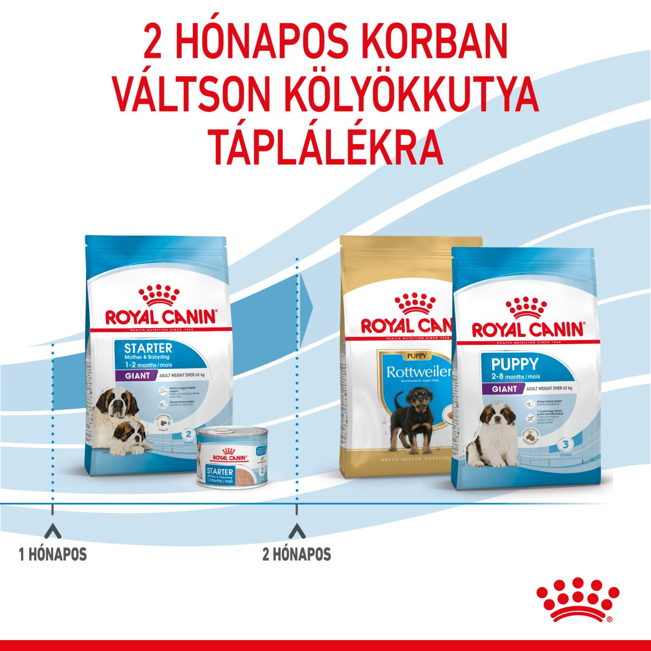 Giant Starter Mother & Babydog