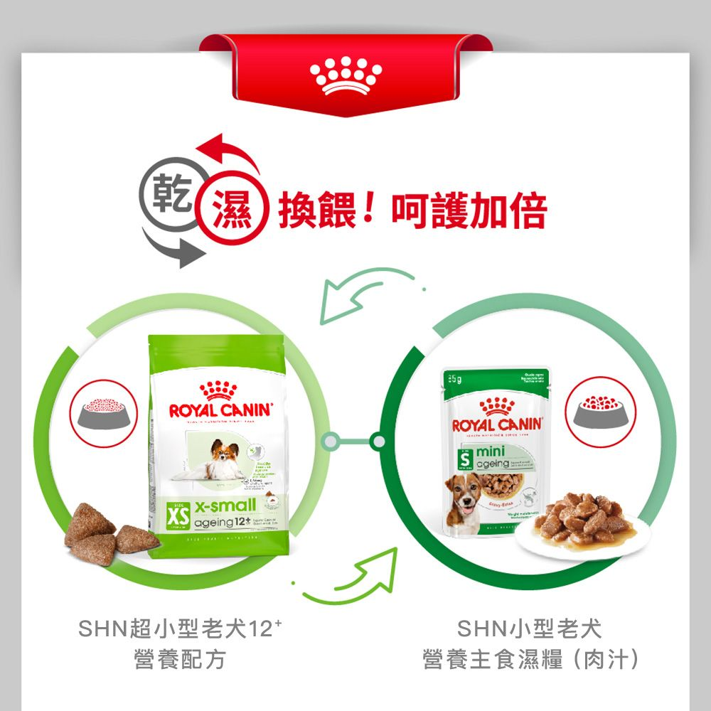 SHN 超小型老犬12+營養配方