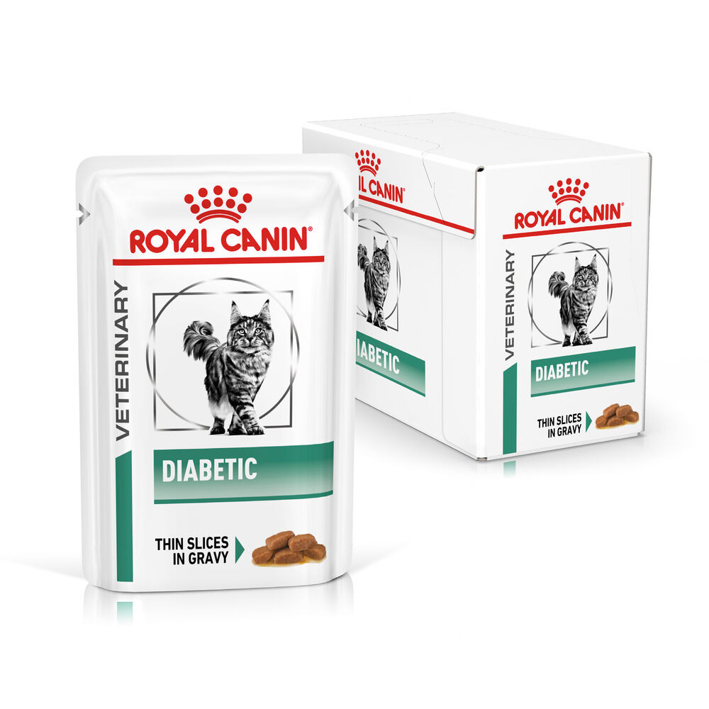 Diabetic Thin Slices In Gravy