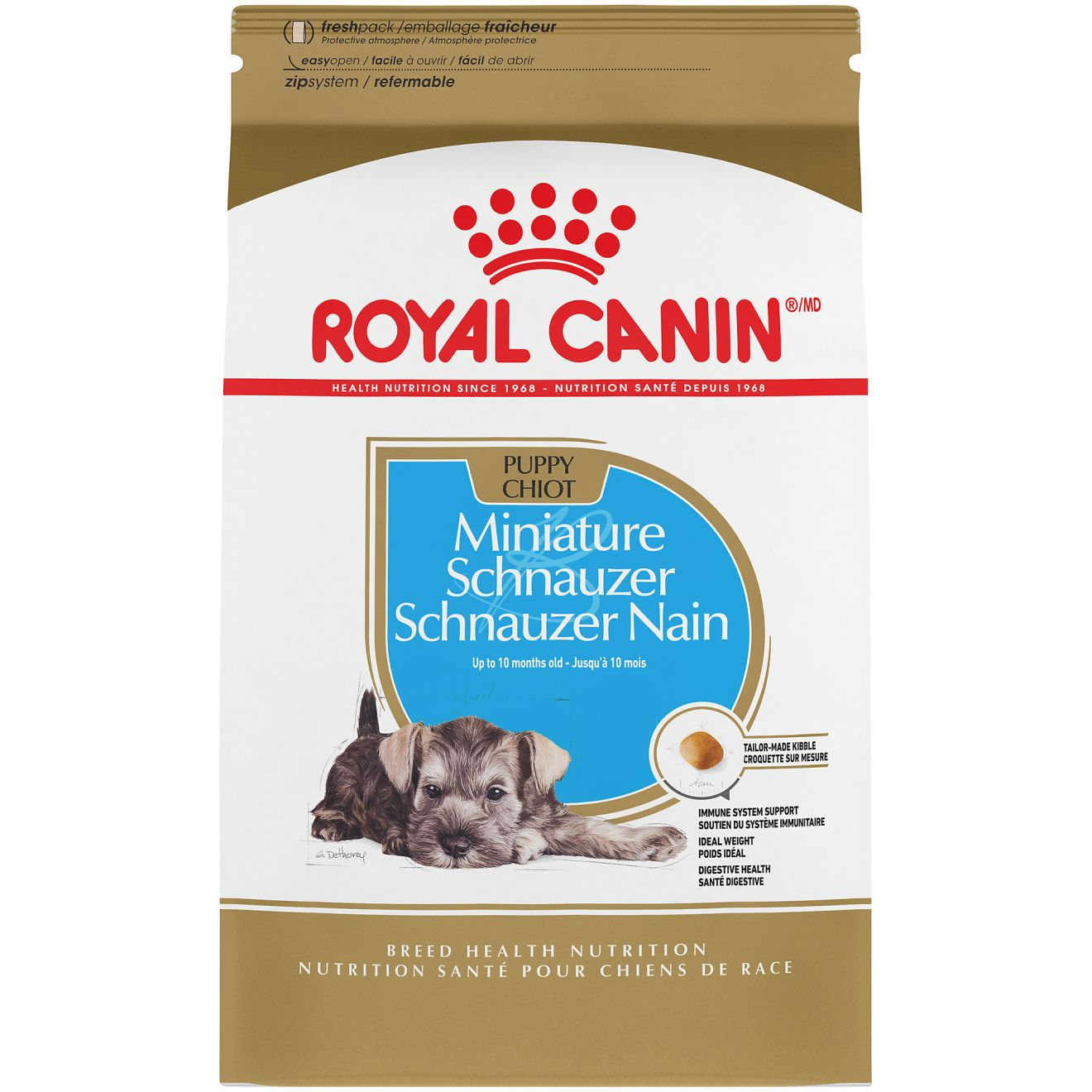 Miniature Schnauzer Puppy Dry Dog Food Royal Canin US