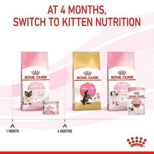 Mother & Babycat Ultra Soft Mousse