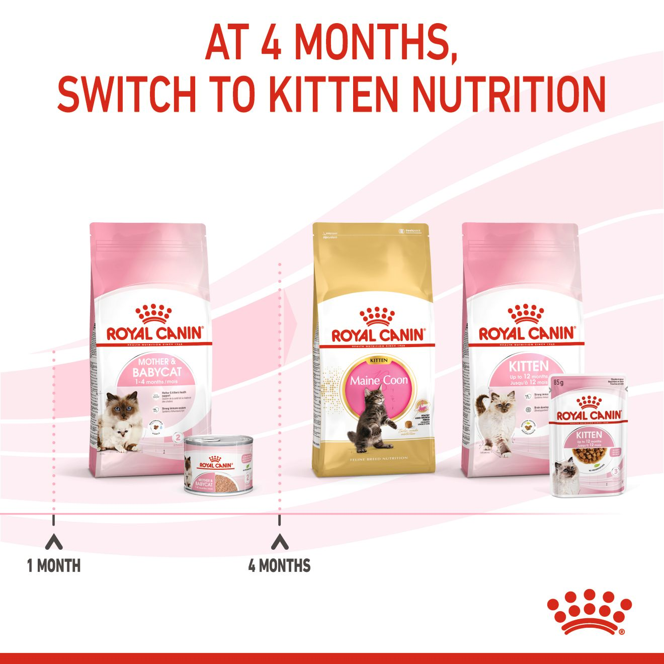 Mother & baby cat hotsell royal canin