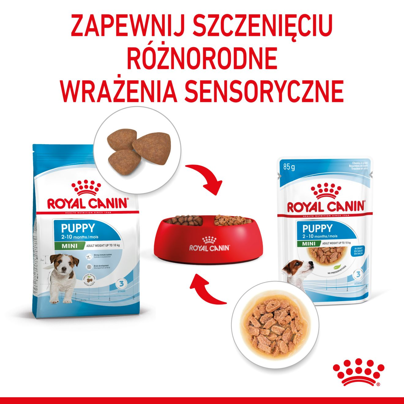 ROYAL CANIN Mini Puppy karma mokra w sosie dla szczeniąt do 10 miesiąca, ras małych