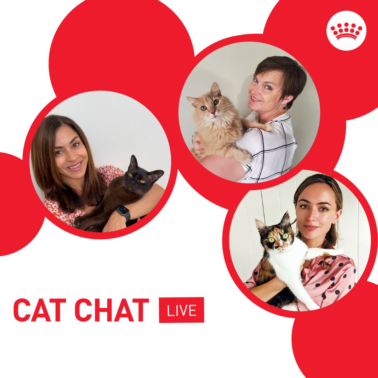 cat chat live facebook event image with hosts