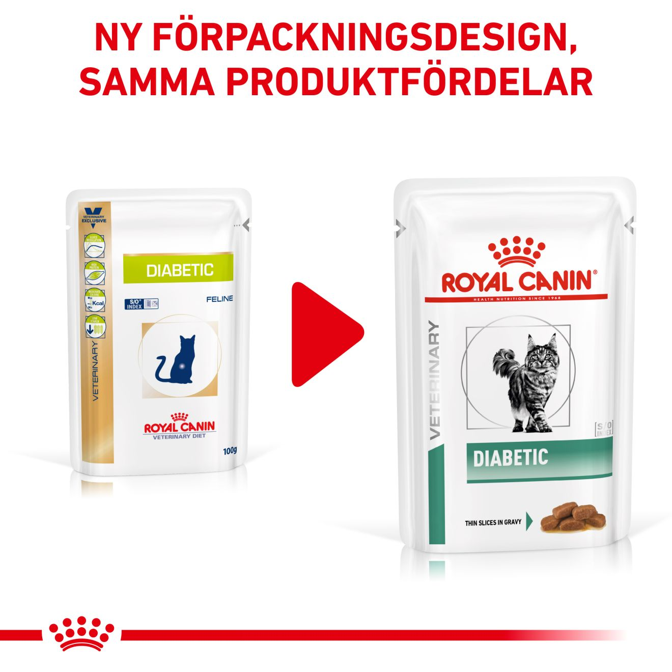 Weight Management Diabetic