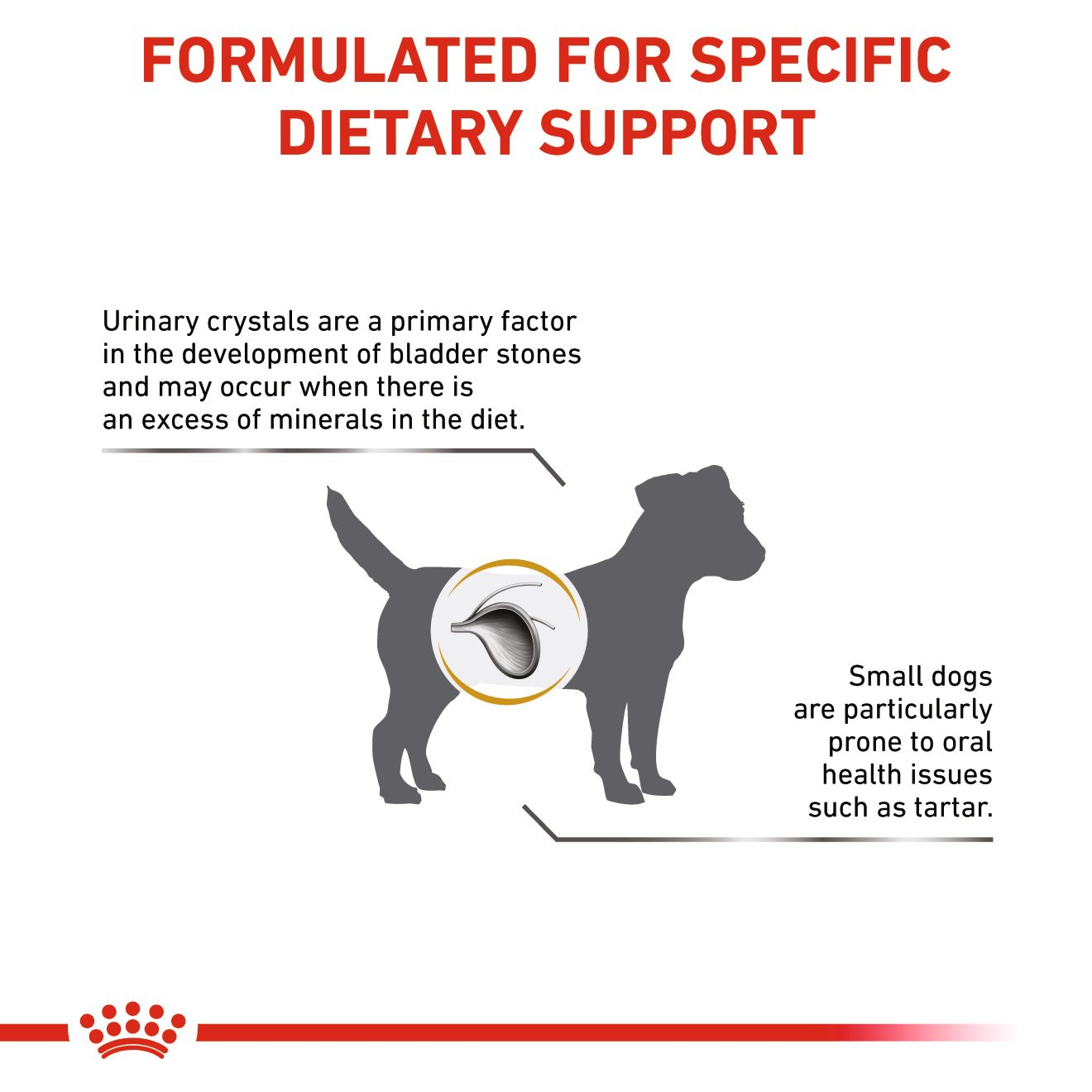 Royal Canin Urinary S/O Small Dog kuivtoit