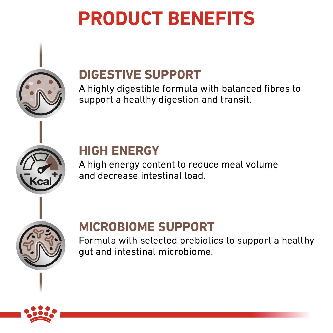 GASTROINTESTINAL für Katzen | Royal Canin Switzerland