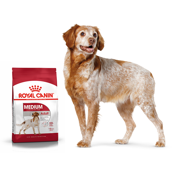 Slika prikazuje brikete iz linije hrane za srednje velike pse