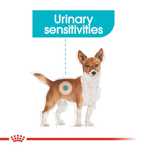 Mini Urinary Care