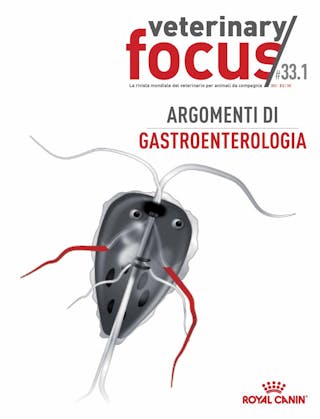 Argomenti di gastroenterologia