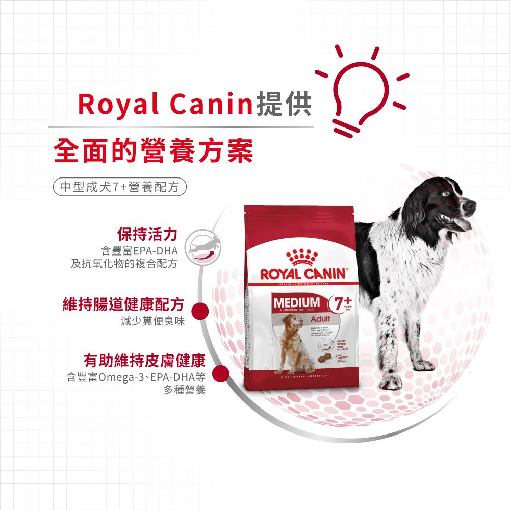 SHN 中型成犬7+歲營養配方