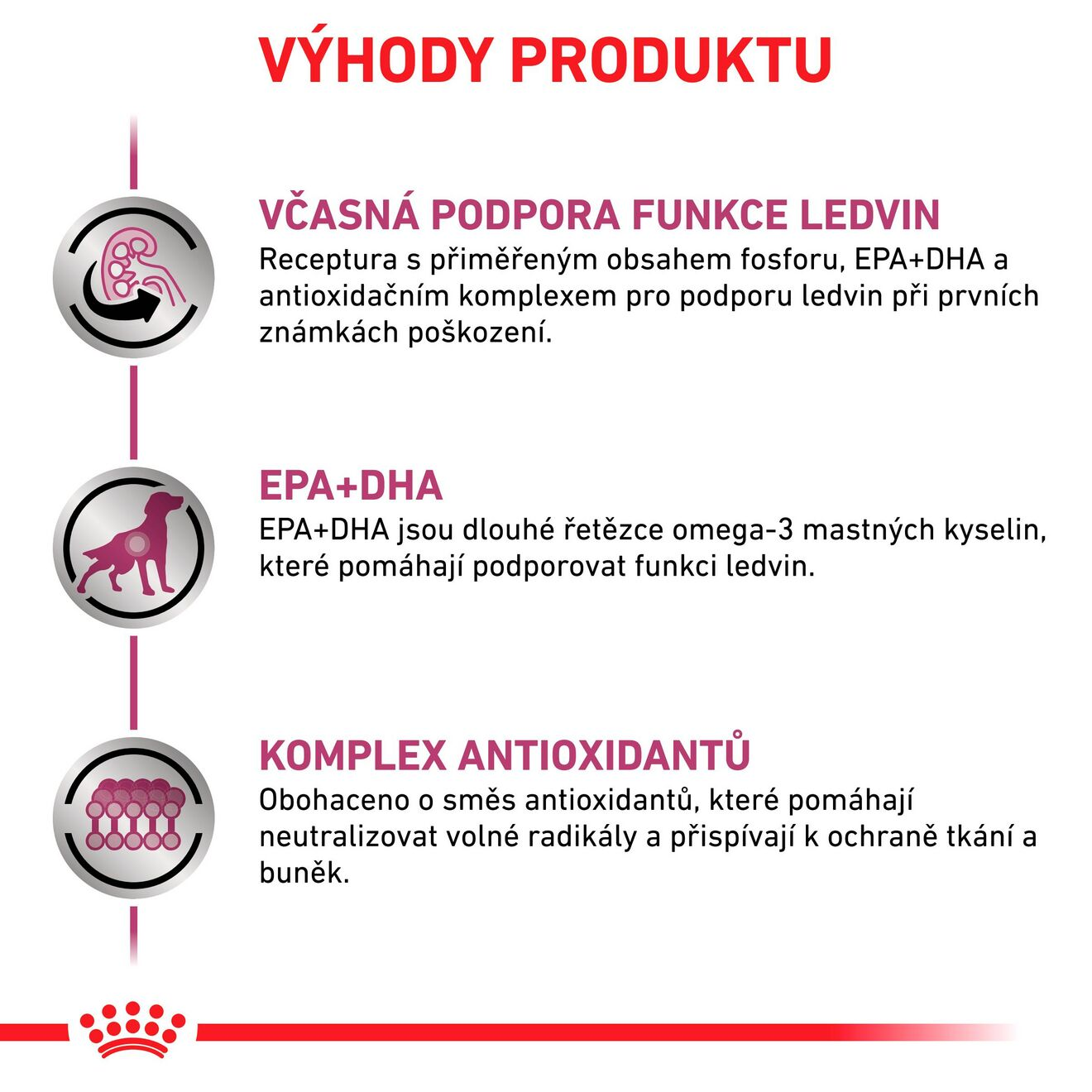 VHN Dog Early Renal
