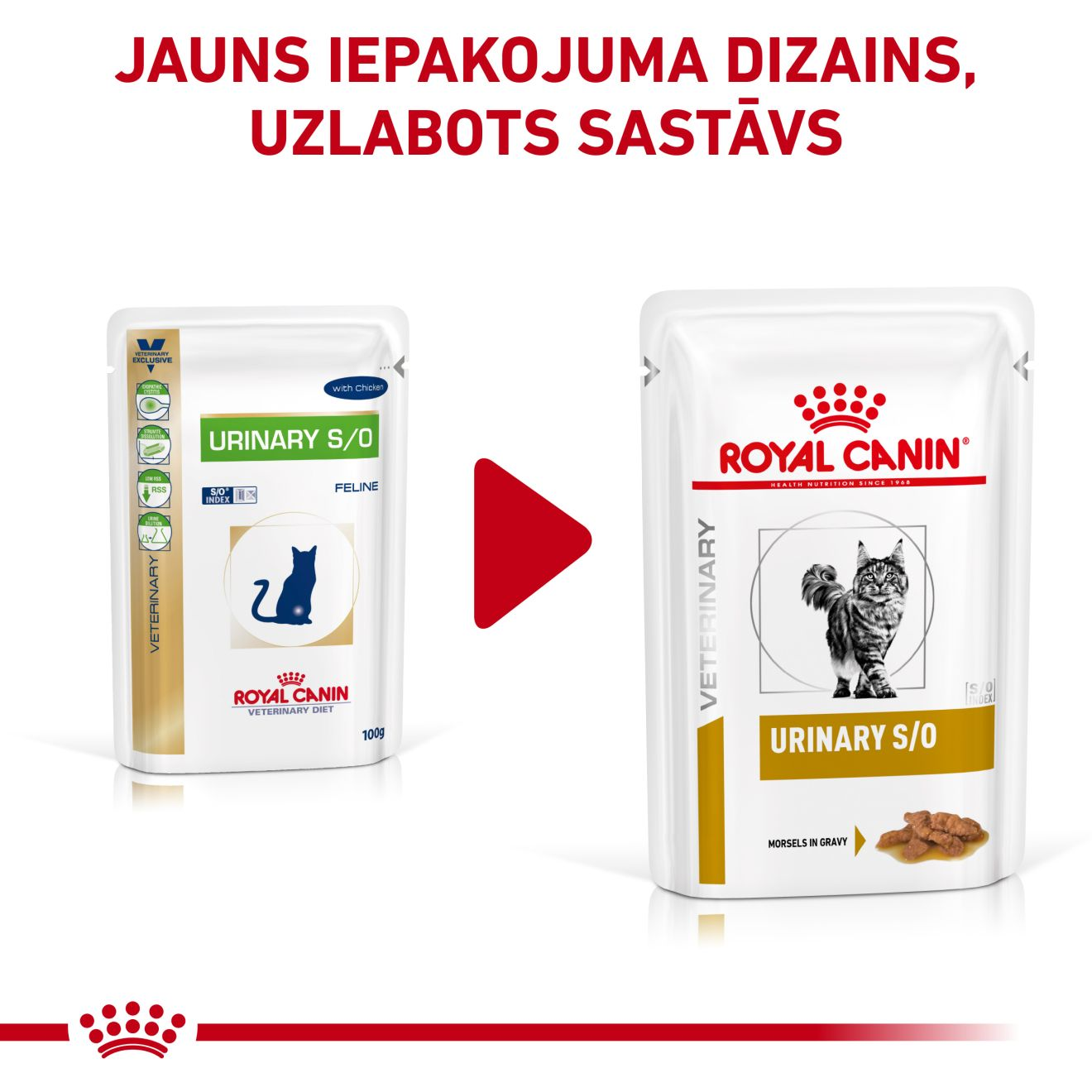 Royal canin cat 2024 urinary wet food