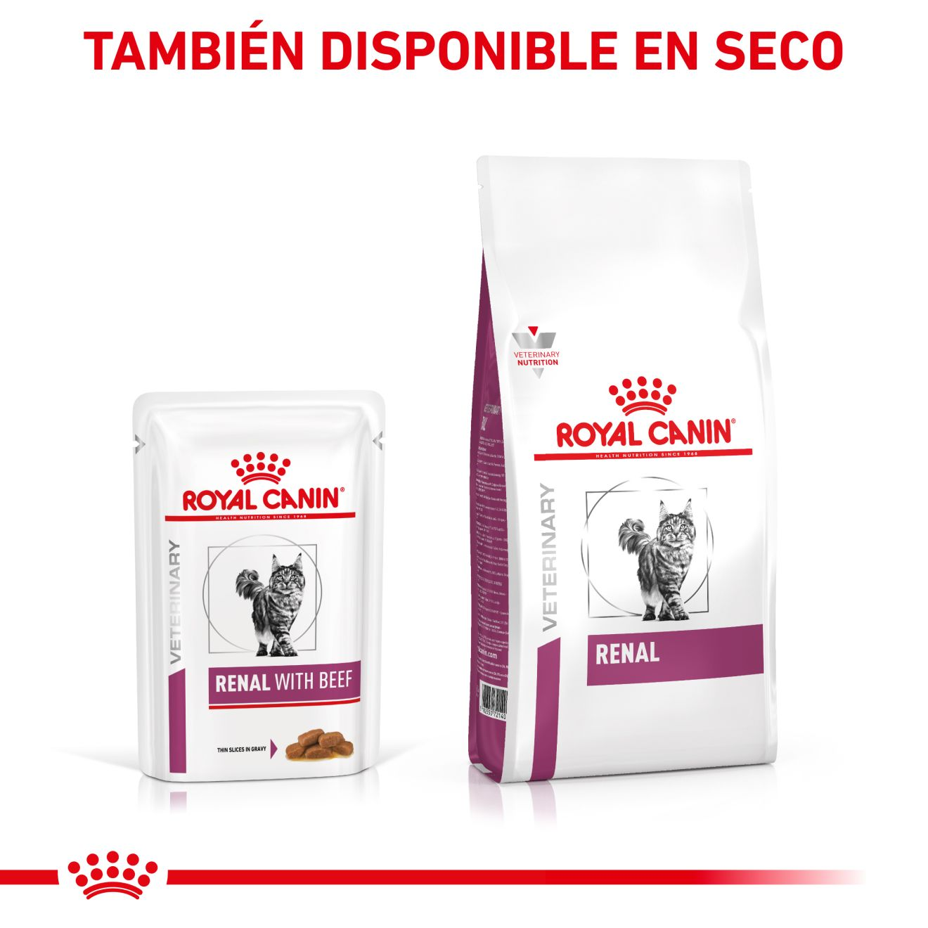 Royal canin renal with cheap beef