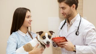 Communication is a clinical skill (part 4)