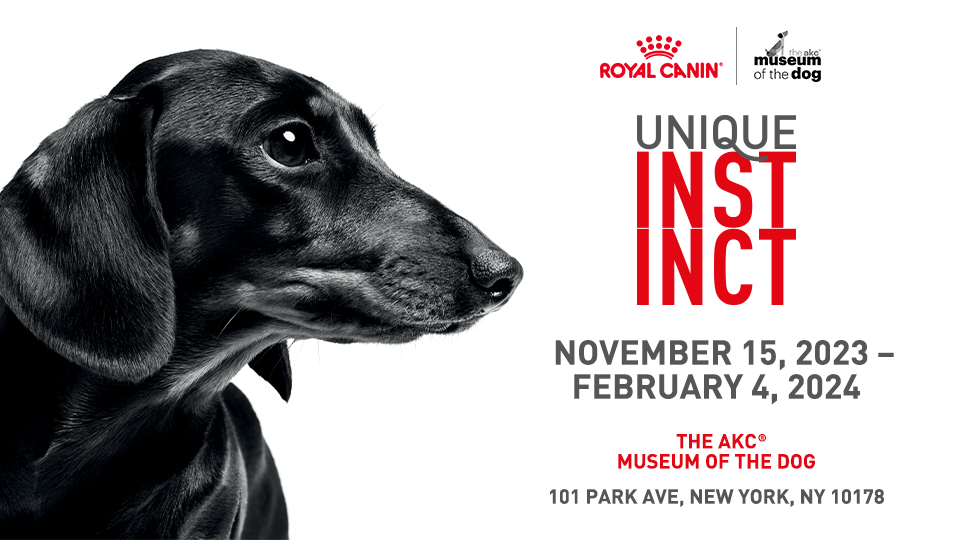 UNIQUE INSTINCT Exhibition at The AKC Museum of the Dog Royal