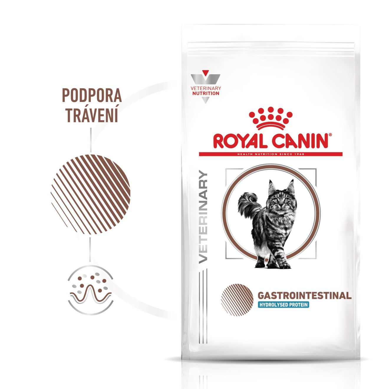 VHN Cat CA Gastrointestinal Hydrolysed Protein