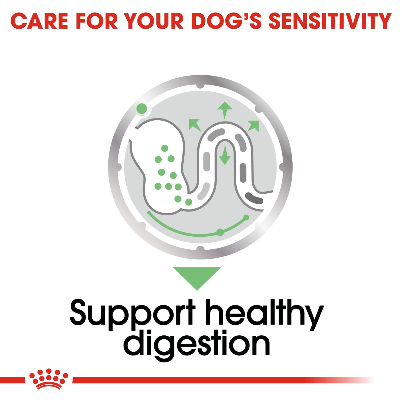 Digestive Care Loaf – Dog Food | Royal Canin Shop | Royal Canin UK
