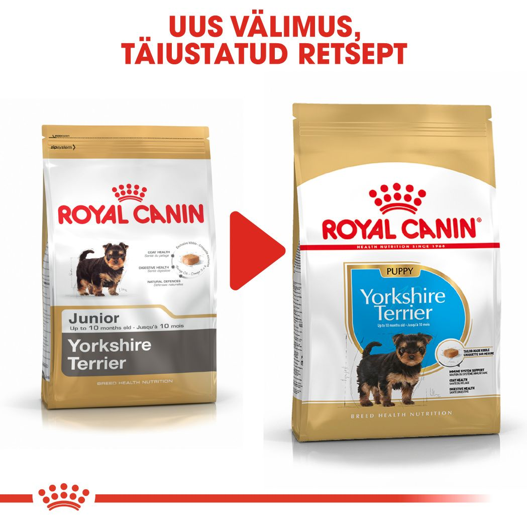 Royal Canin Yorkshire Terrier Puppy kuivtoit