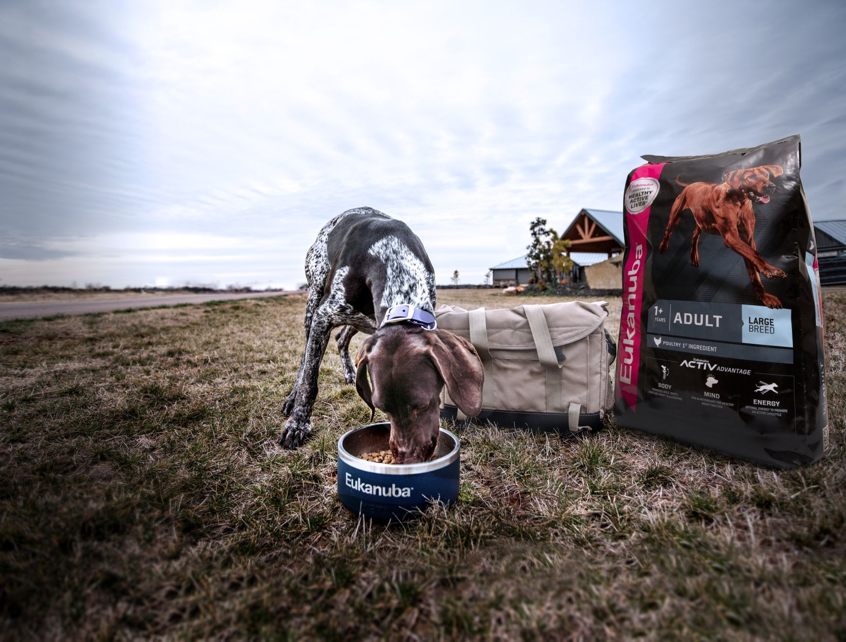 eukanuba skin and coat