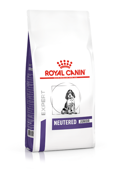 Royal canin 2024 junior medium dog