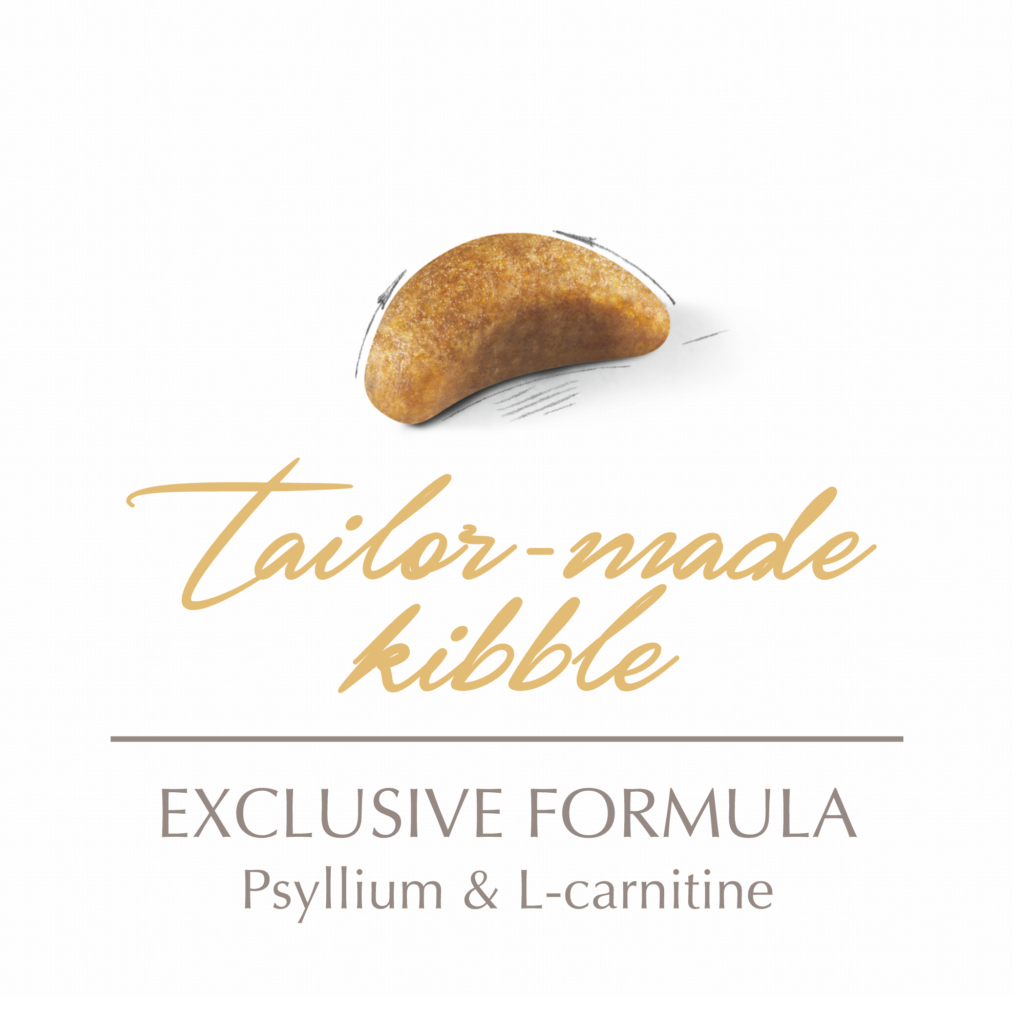 royal canin british shorthair kitten 4kg