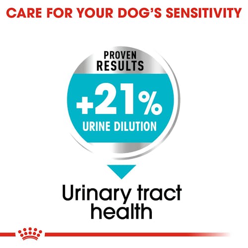 Mini Urinary Care