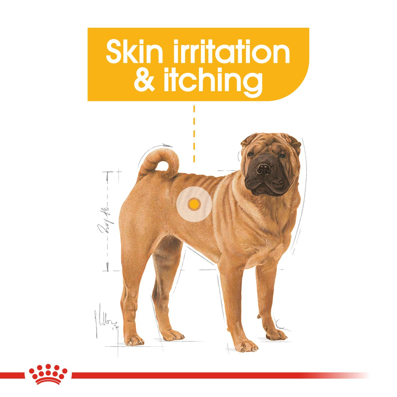 Royal canin 2024 itchy skin