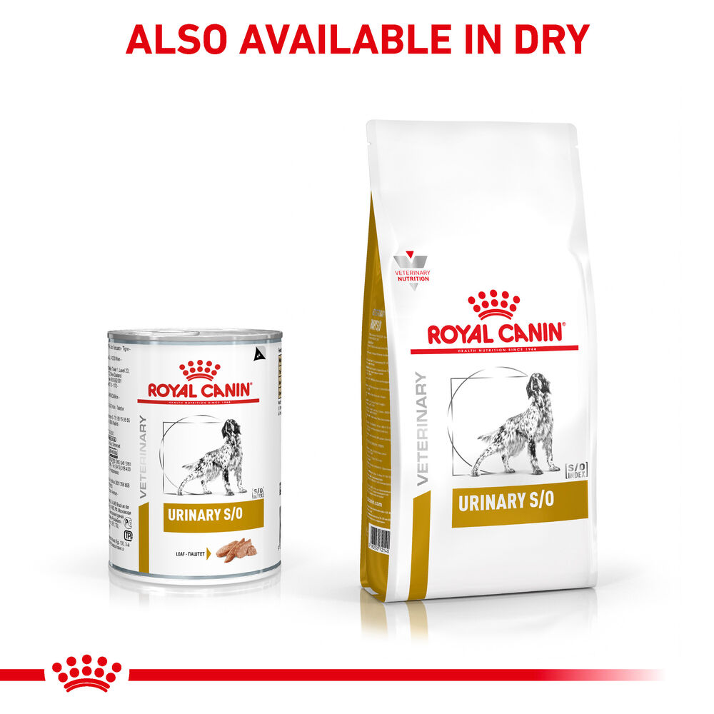 Royal canin urinary veterinary sale