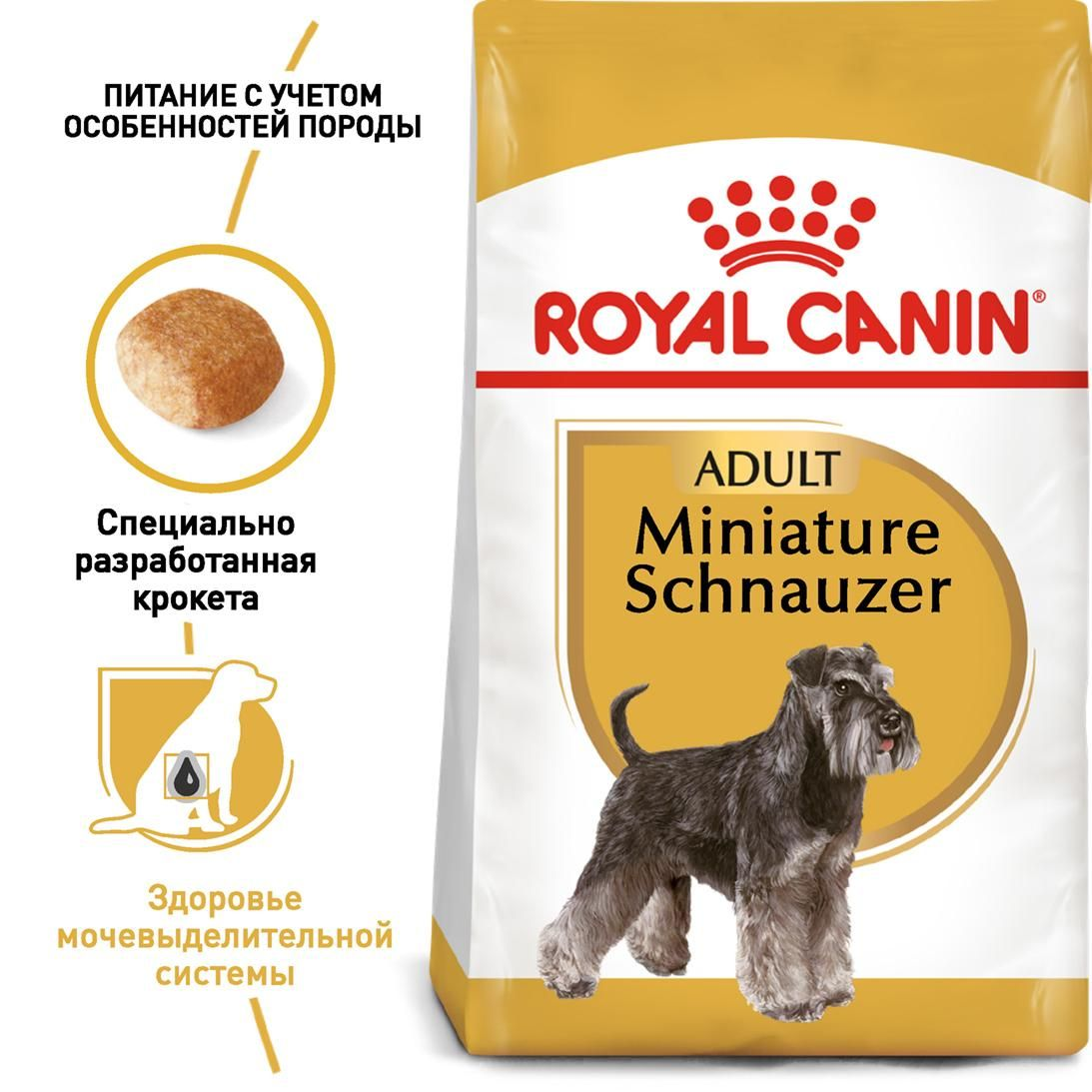 Miniature Schnauzer Adult