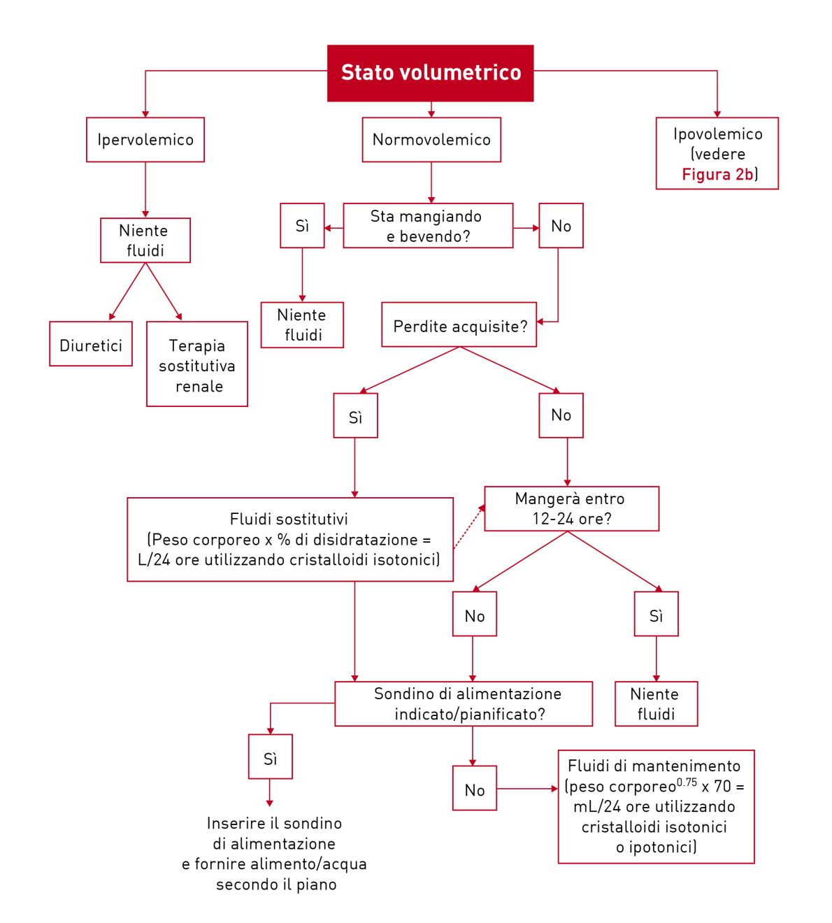Diagramma di flusso completo per facilitare il processo decisionale nella prescrizione dei fluidi nei gatti