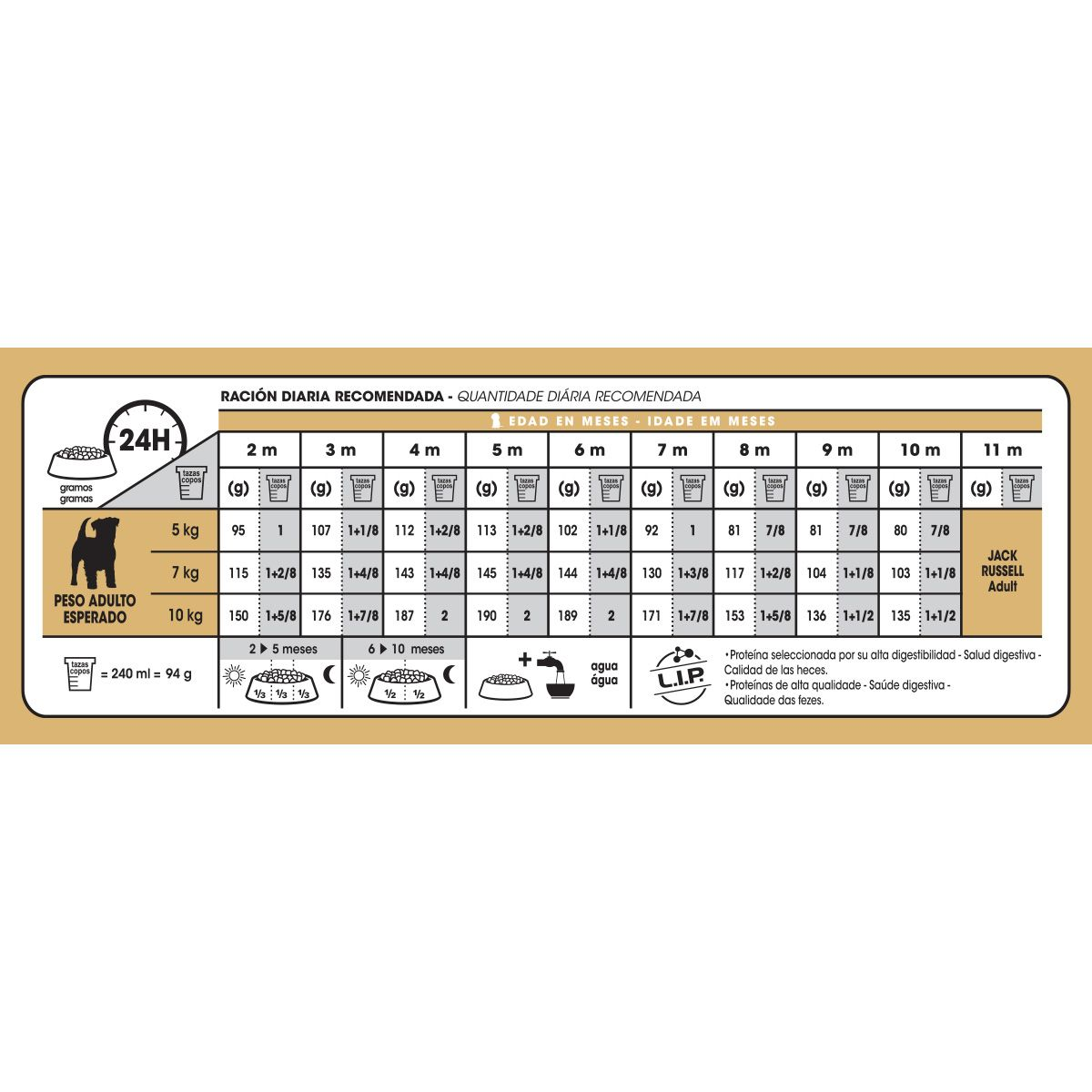 Jack Russell Terrier Puppy