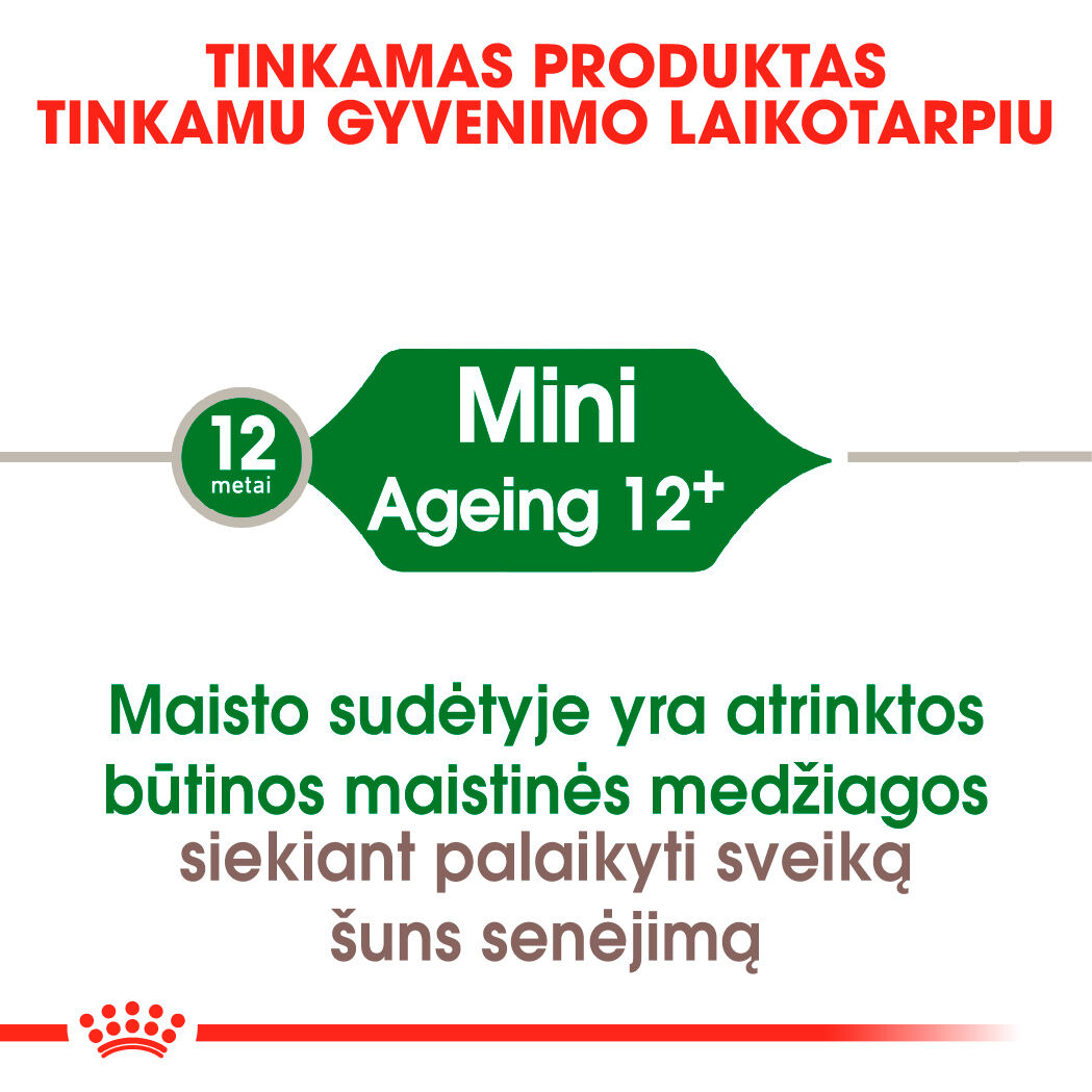 Mini Ageing 12+