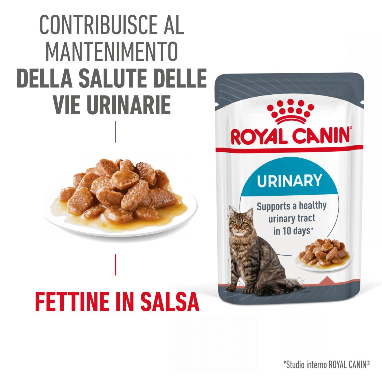 Urinary Care in salsa