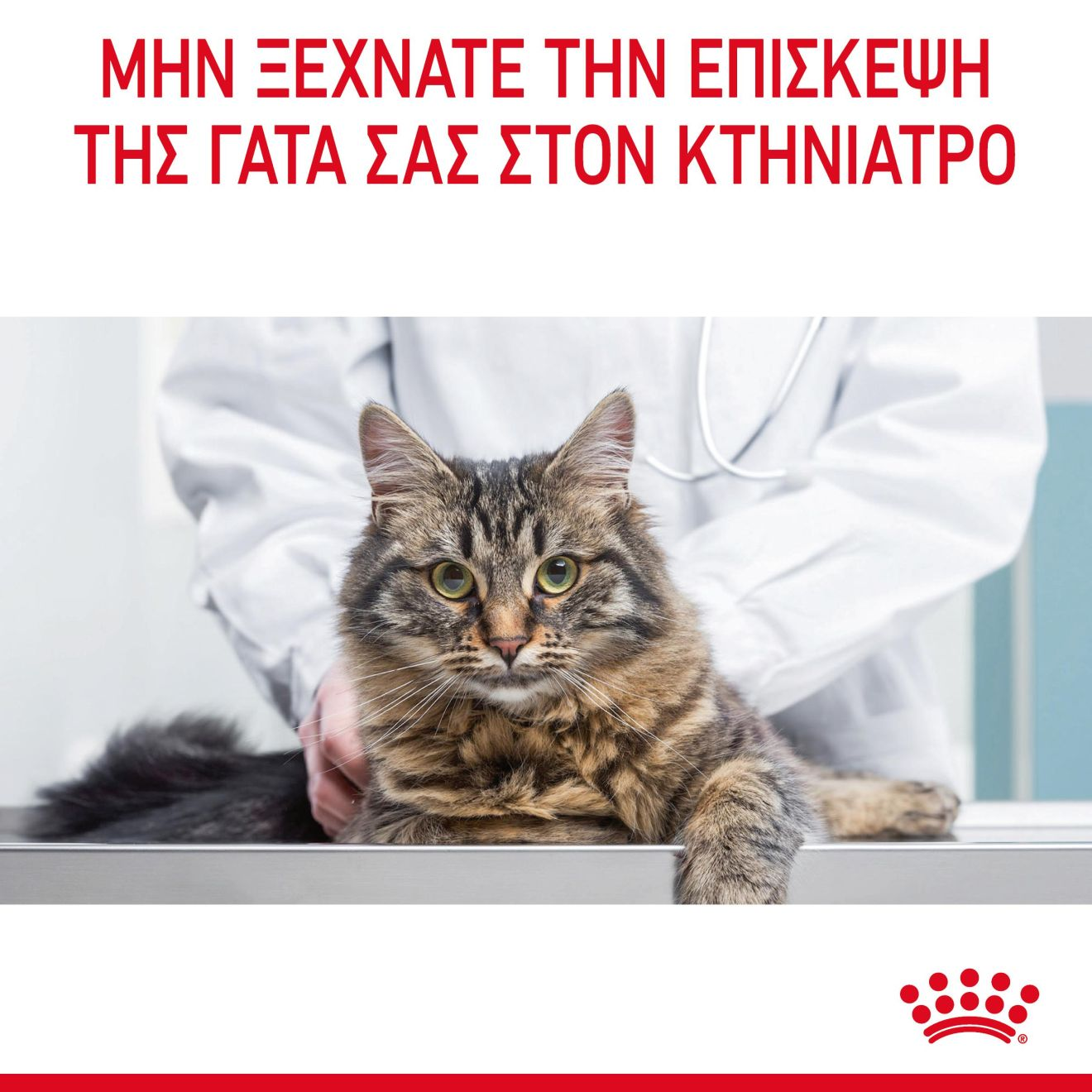 APPETITE CONTROL CARE Λεπτές φέτες σε σάλτσα