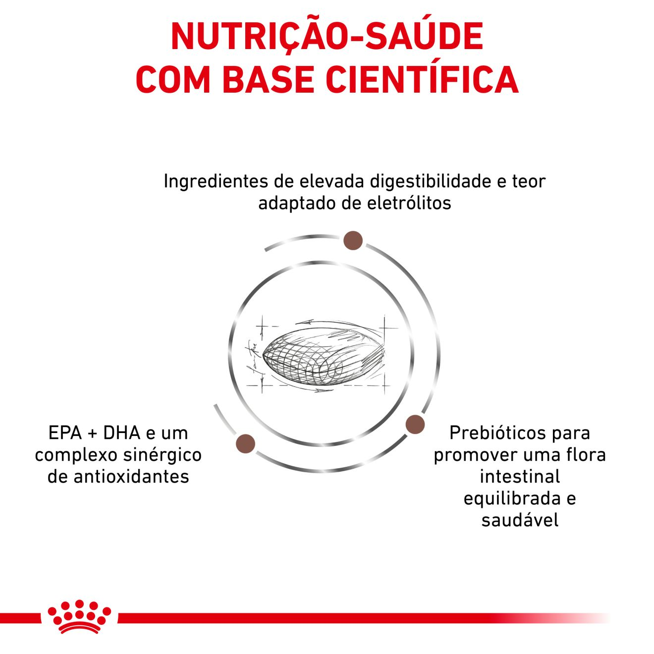 Gastrointestinal Low Fat