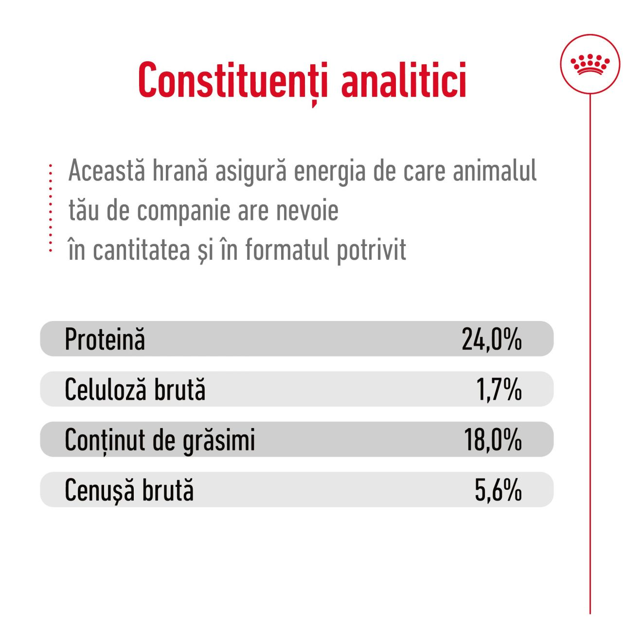 X-SMALL ADULT