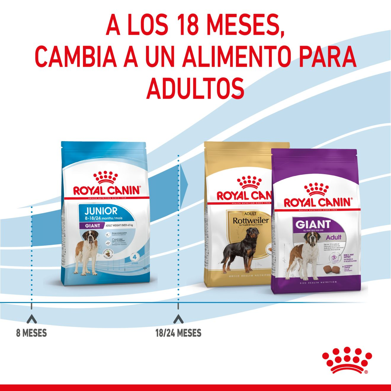 JUNIOR GIANT Royal Canin ES