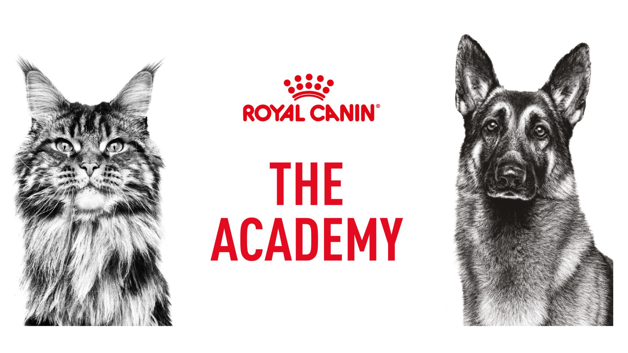 ロイヤルカナン ジャポン　獣医療関係者向けEラーニングサイト「Royal Canin Academy」開講