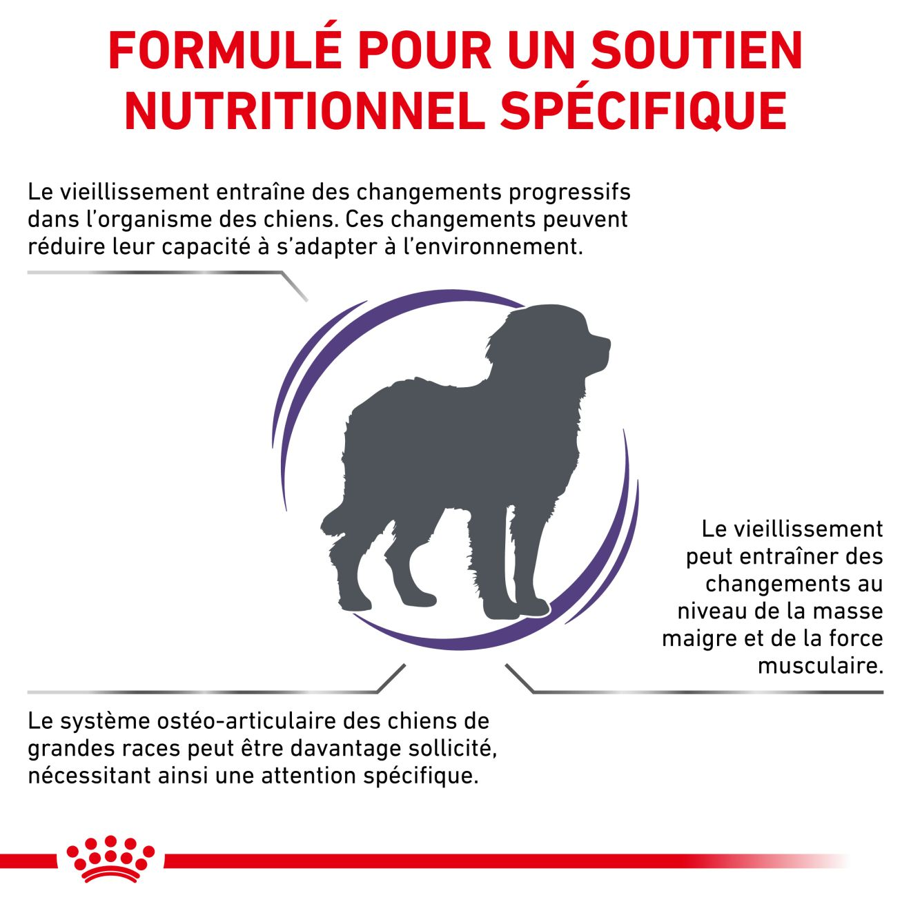 Mature Consult Large Dogs - Aliment vétérinaire pour chien