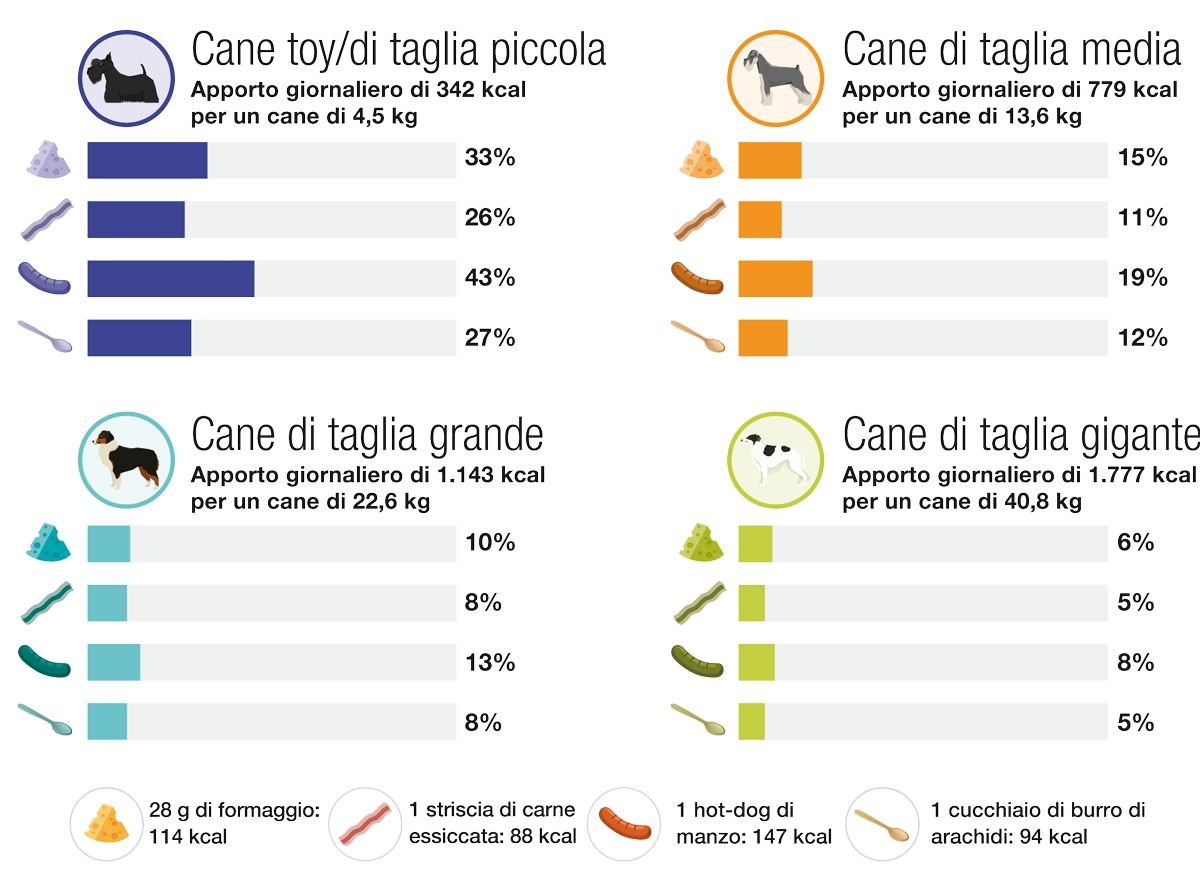 Sebbene i cani ricevano spesso bocconcini costituiti da alimenti umani, ai proprietari di pet può sfuggire che, anche in piccole quantità, il cibo umano può rappresentare un forte percentuale del fabbisogno energetico giornaliero di un pet. Come guida generale, per evitare carenze e squilibri nutrizionali, gli alimenti costituiti da bocconcini e alimenti umani non dovrebbero superare il 10% delle calorie giornaliere totali. 