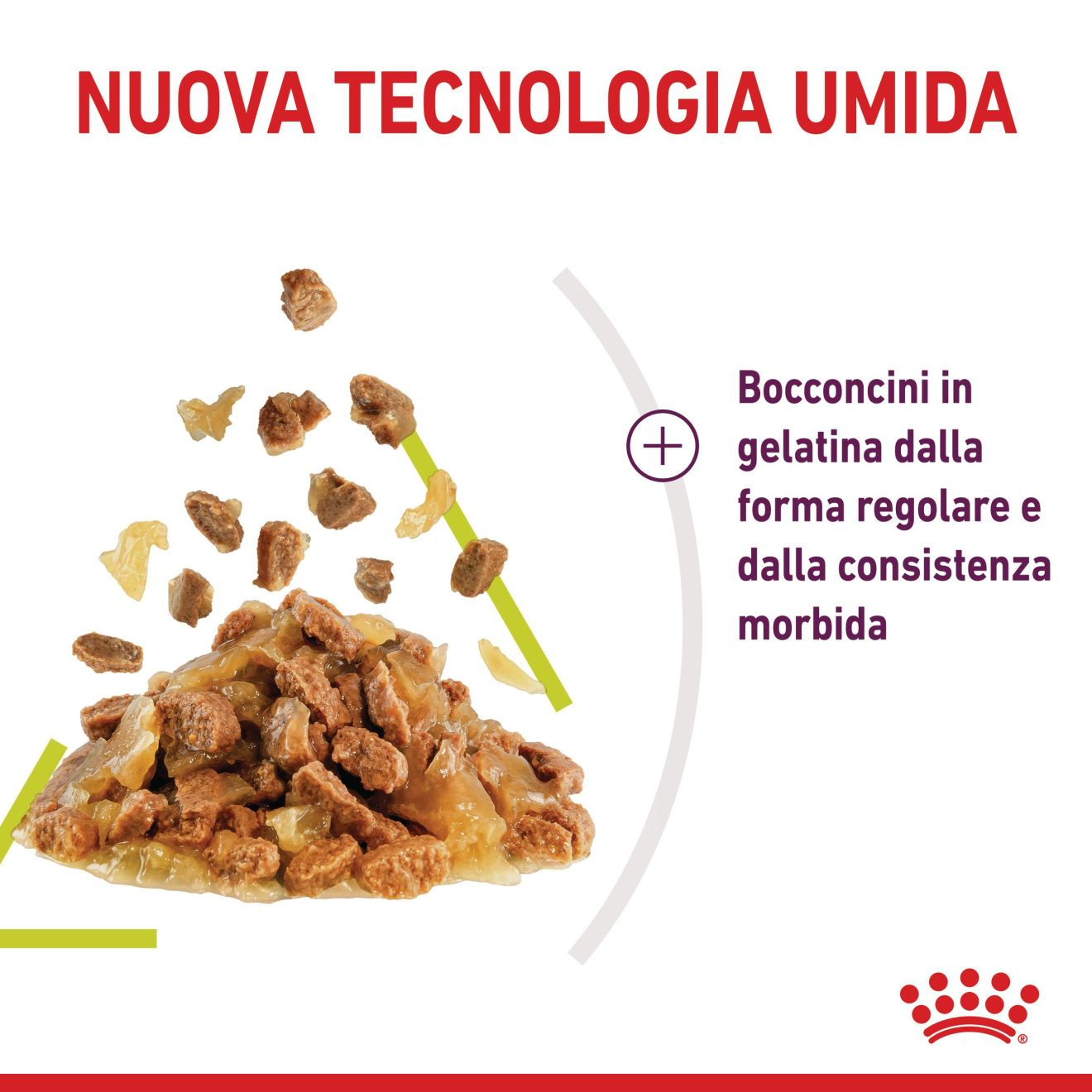 SENSORY™ SMELL bocconcini in gelatina 