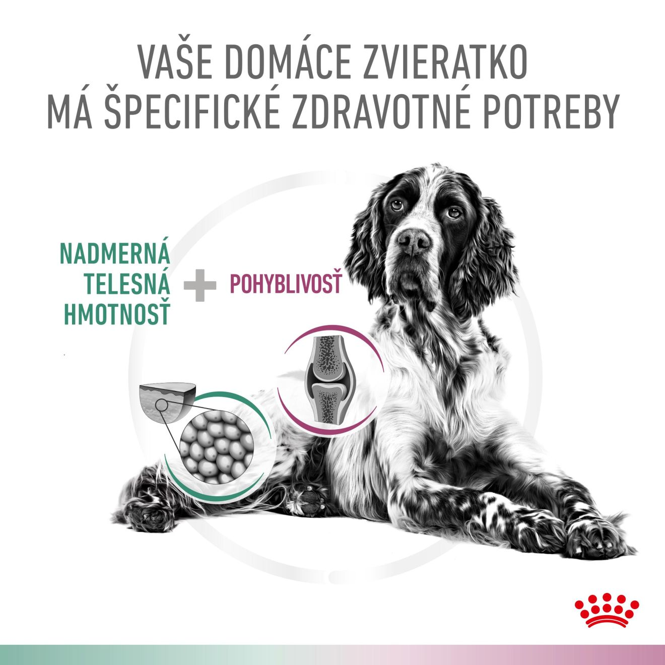 VHN Dog CA Satiety - Mobility