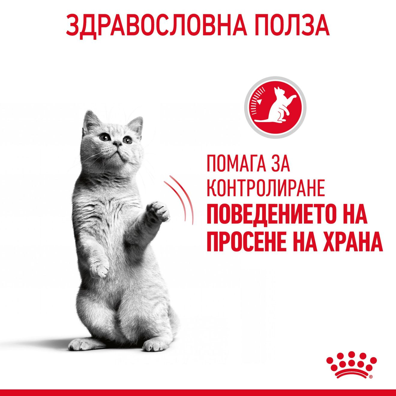 Appetite Control Care