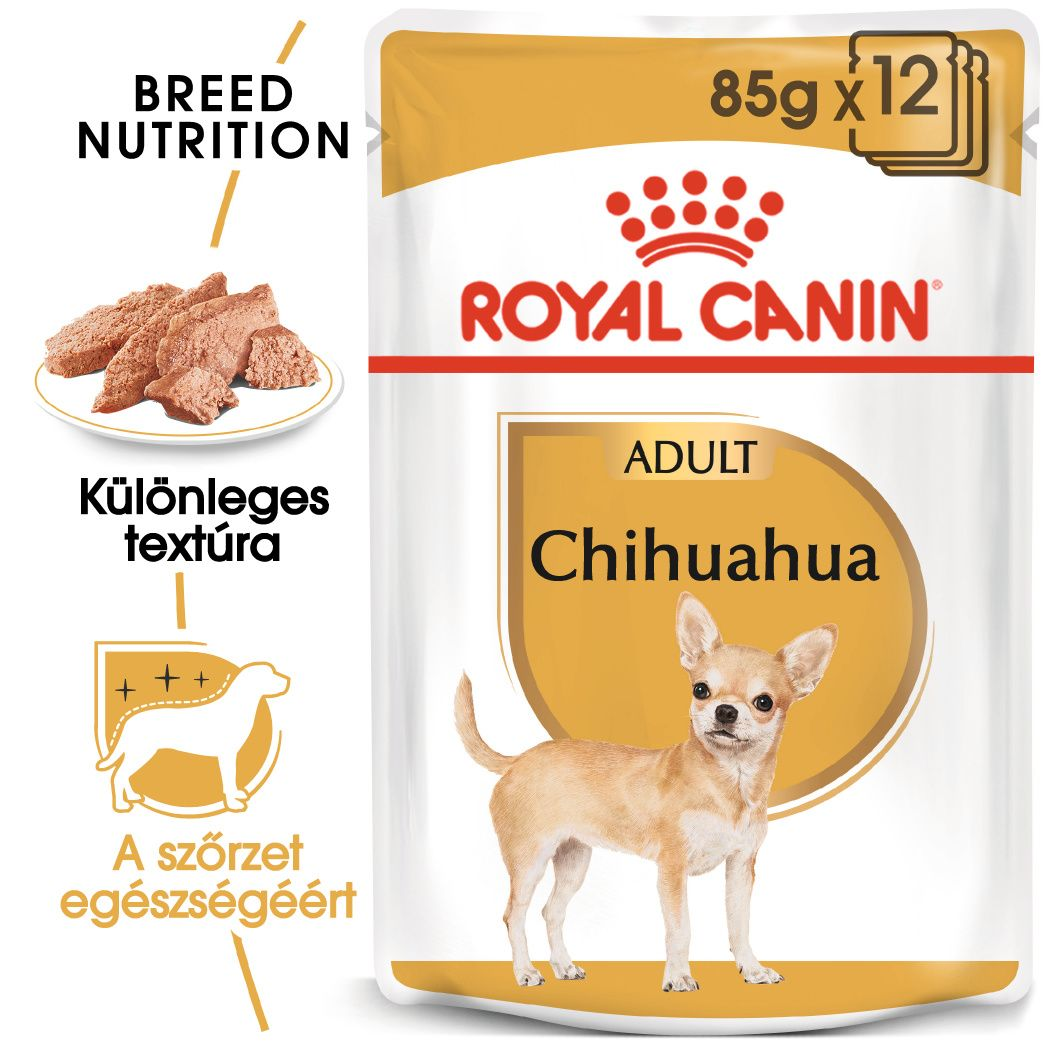 Chihuahua