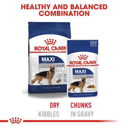 Ontrouw Conform Misschien Maxi Adult Natvoer wet | Royal Canin
