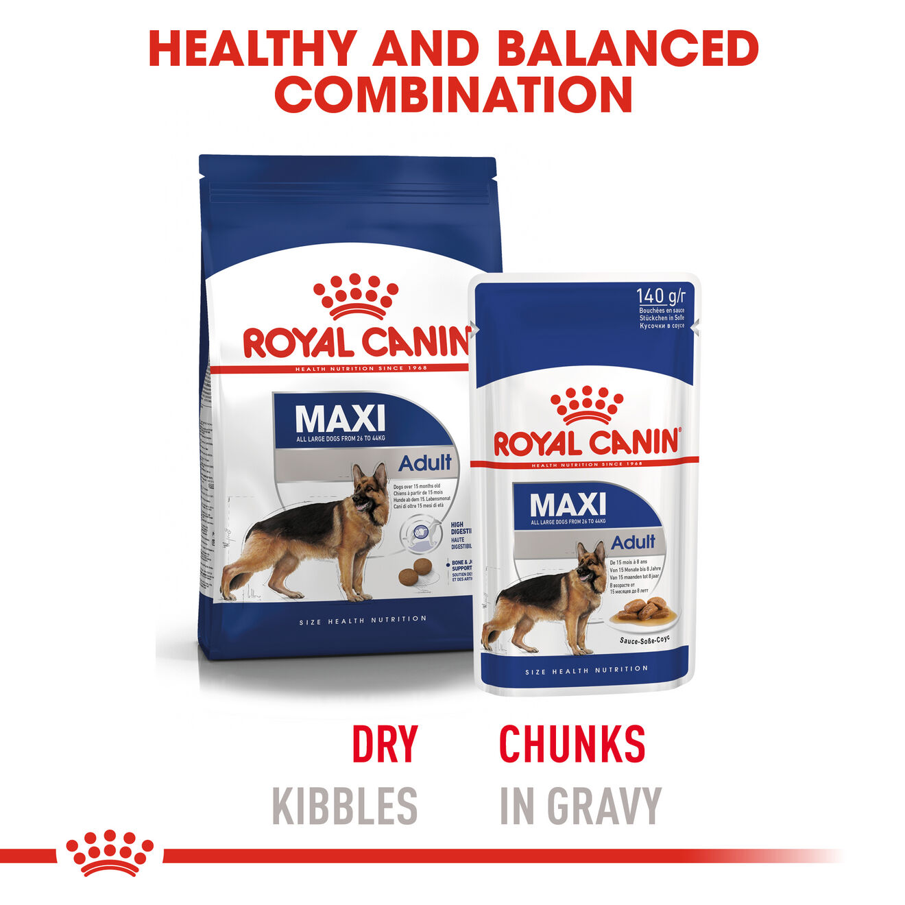 Royal canin professional maxi hot sale adult