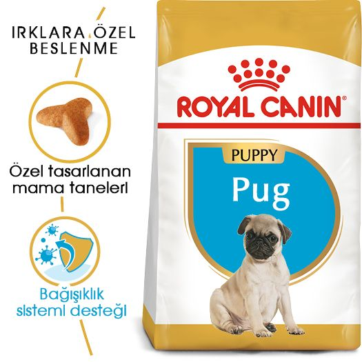 Pug Puppy Yavru Köpek Kuru Maması
